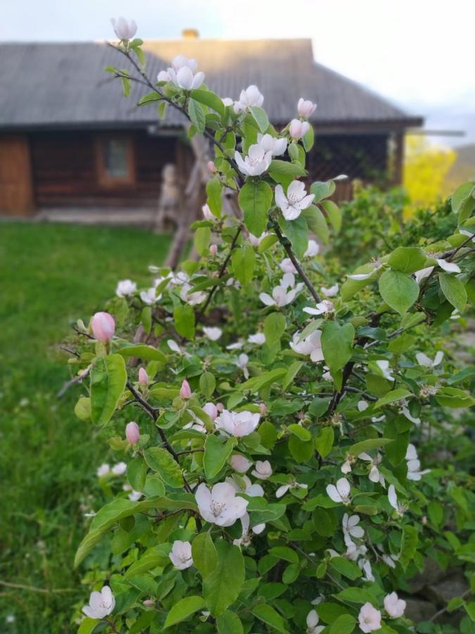 Starovitska Hata - Ethno-Cottage Verchovyna Exteriér fotografie