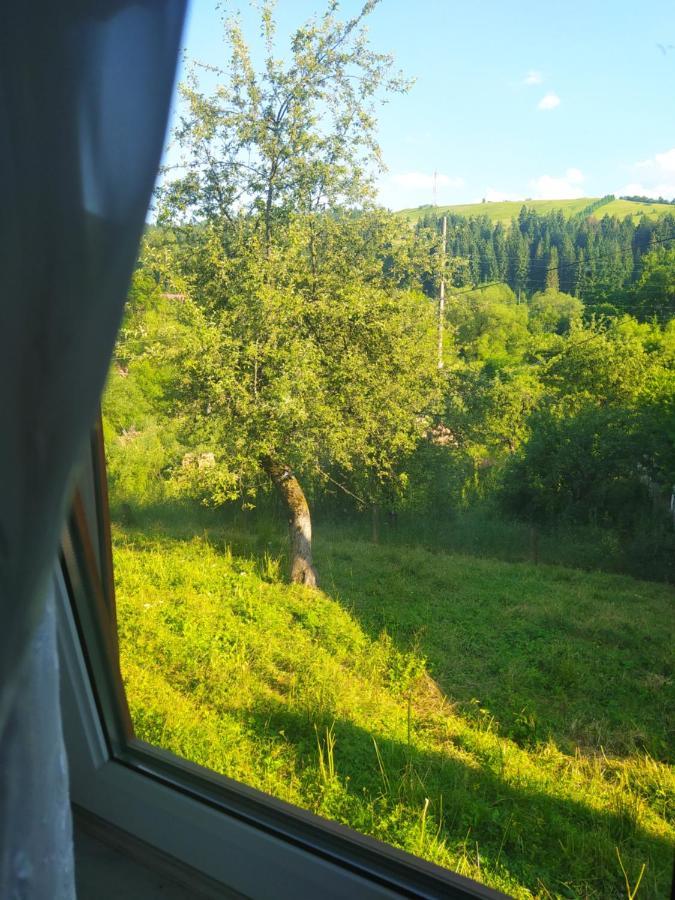 Starovitska Hata - Ethno-Cottage Verchovyna Exteriér fotografie