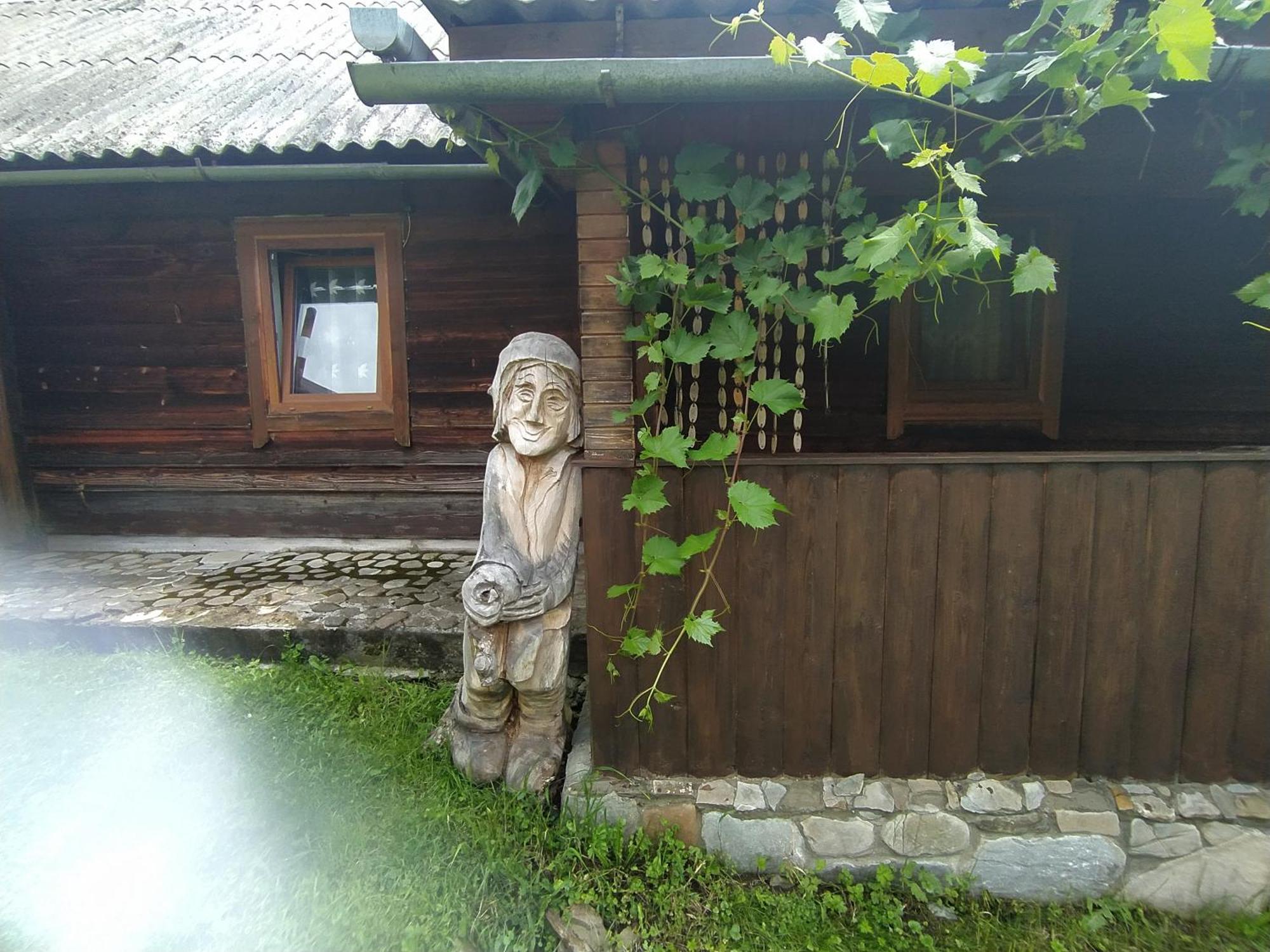 Starovitska Hata - Ethno-Cottage Verchovyna Exteriér fotografie