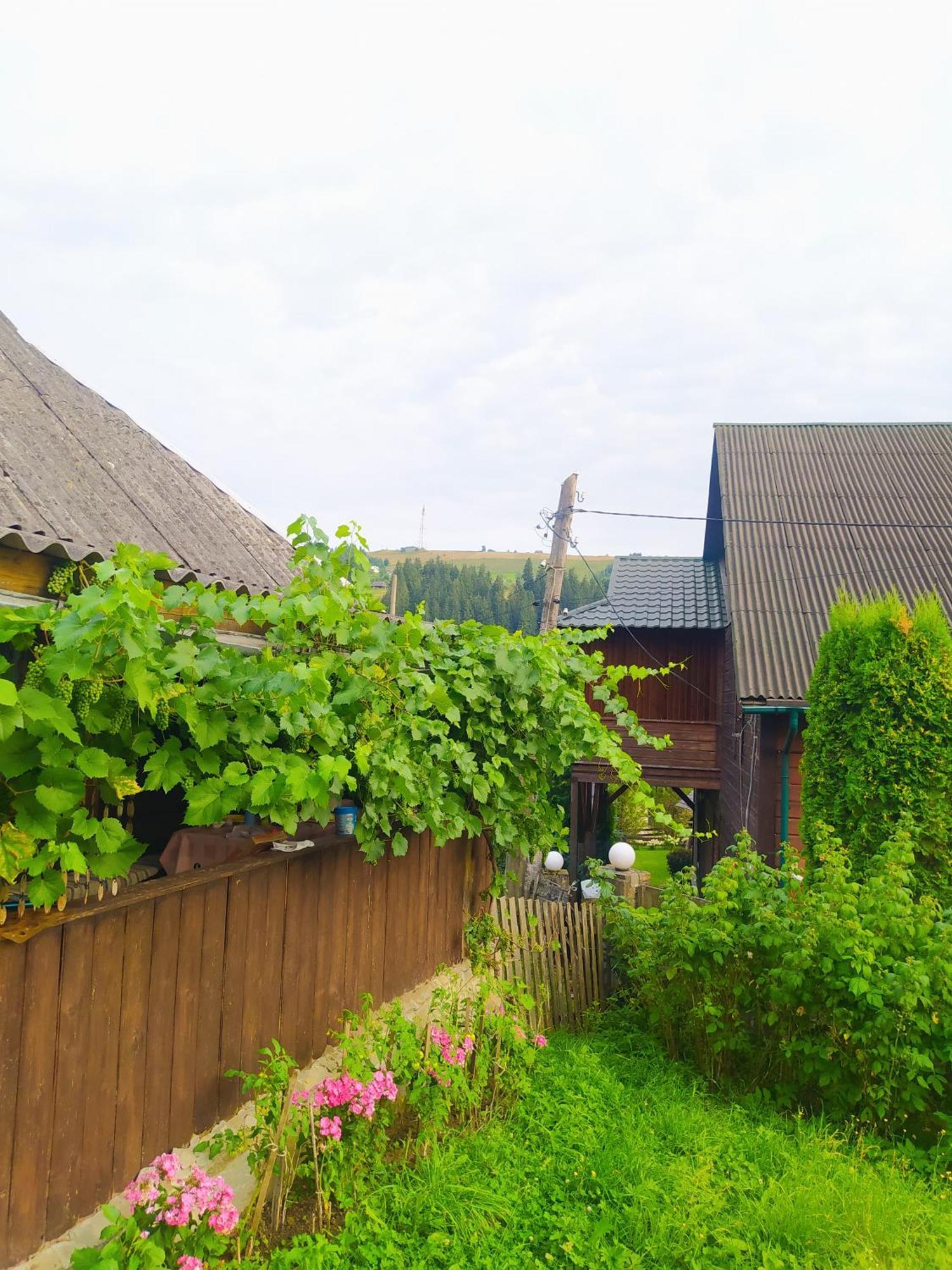 Starovitska Hata - Ethno-Cottage Verchovyna Exteriér fotografie