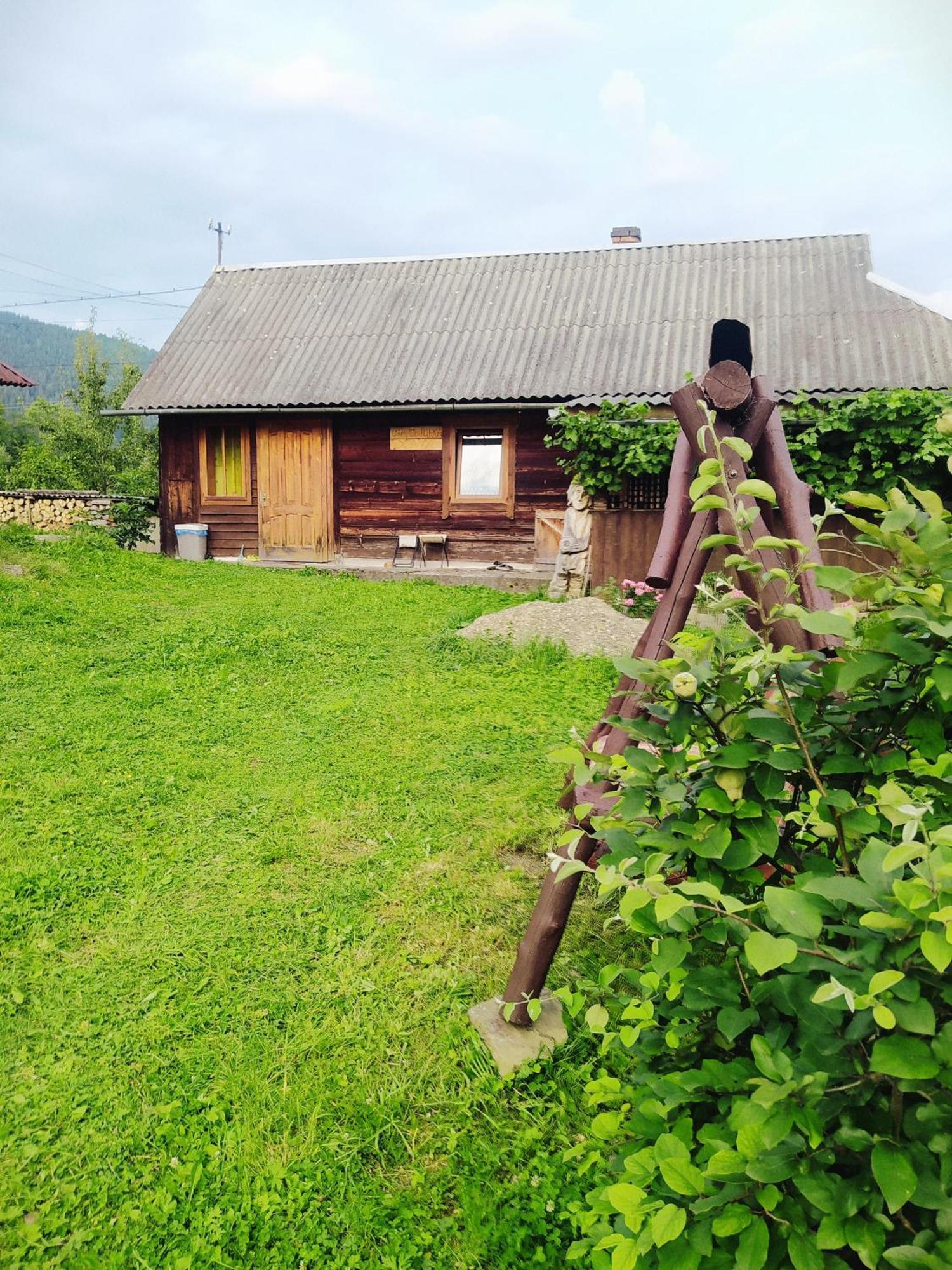 Starovitska Hata - Ethno-Cottage Verchovyna Exteriér fotografie