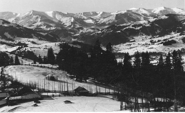 Starovitska Hata - Ethno-Cottage Verchovyna Exteriér fotografie